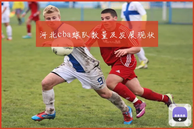 河北cba球队数量及发展现状