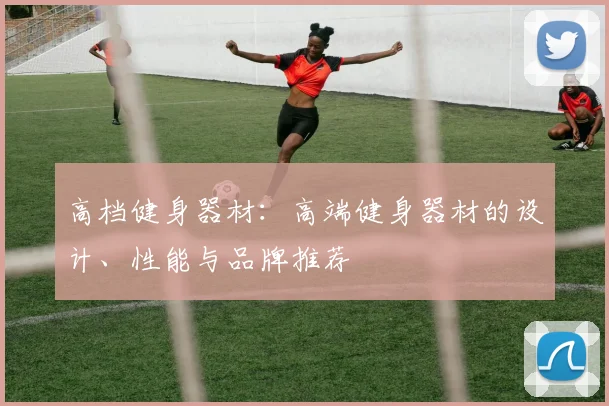 高档健身器材：高端健身器材的设计、性能与品牌推荐