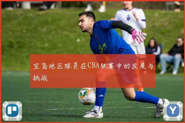 宝岛地区球员在CBA联赛中的发展与挑战