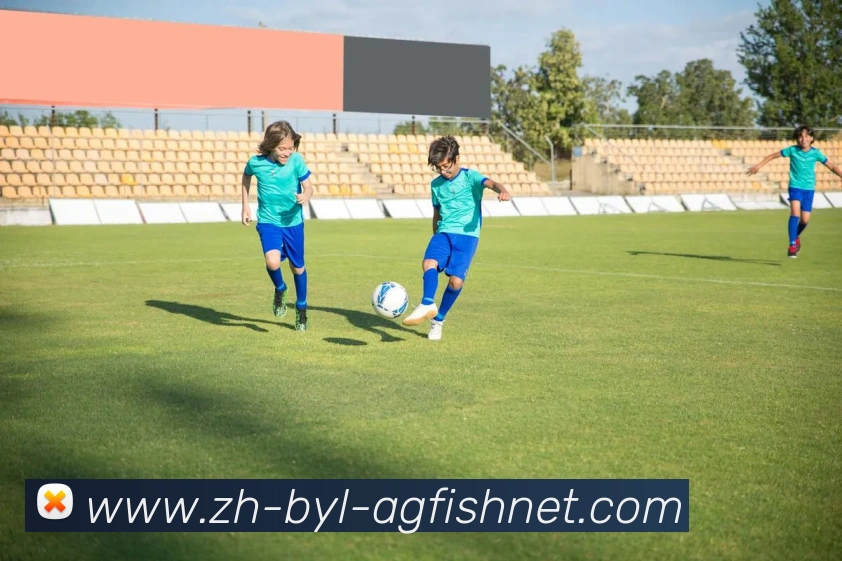 AG捕鱼王官网品牌故事