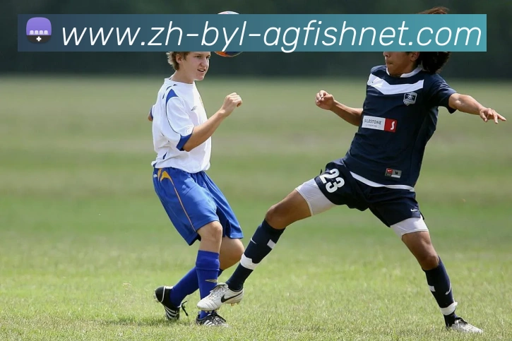 AG捕鱼王官网服务体系