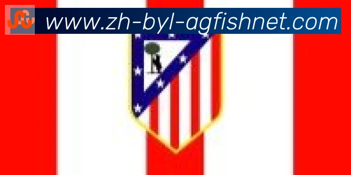 AG捕鱼王官网合作伙伴
