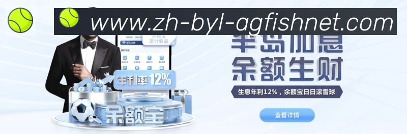 登录器
