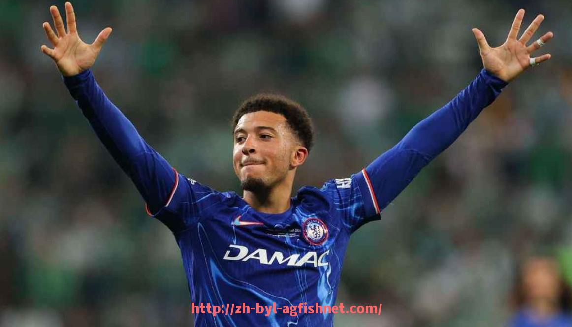 AG捕鱼王官网-2023年NBA常规赛最佳防守球员的技术特点及表现