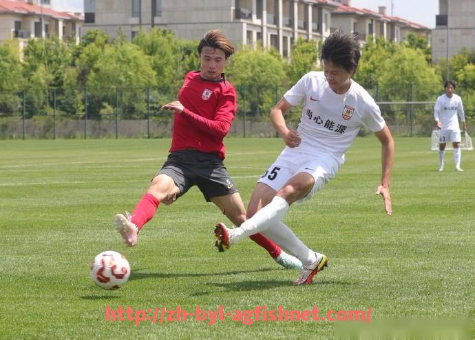 AG捕鱼王官网-德甲会员制俱乐部排名榜，球迷支持度排行